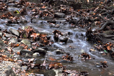 DSC_0313.JPG