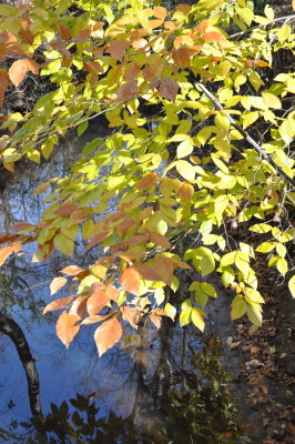 DSC_0400.jpg