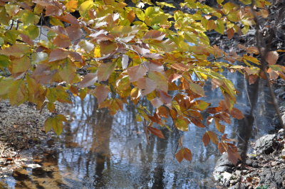 DSC_0425.JPG