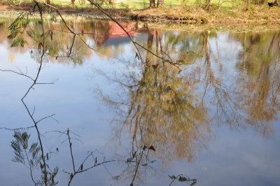 DSC_0454.JPG