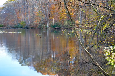 DSC_0456.JPG