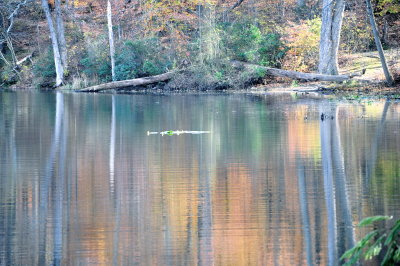 DSC_0470.JPG