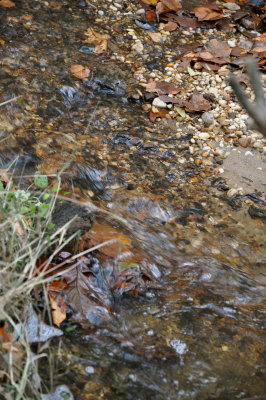 DSC_0296.jpg
