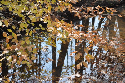 DSC_0432.JPG