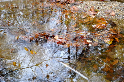 DSC_0293.JPG
