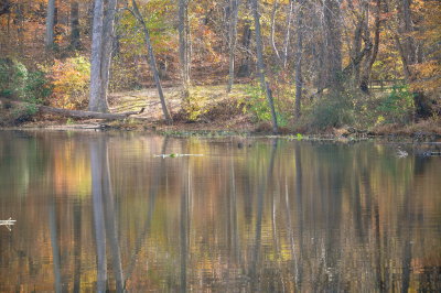 DSC_0481.JPG