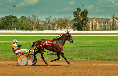 Harness Racing 2