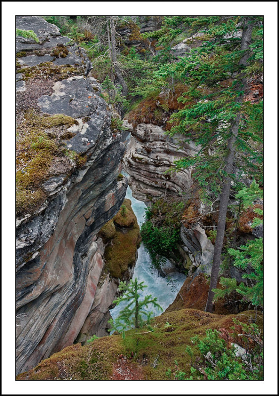 Area of Athabaska Falls