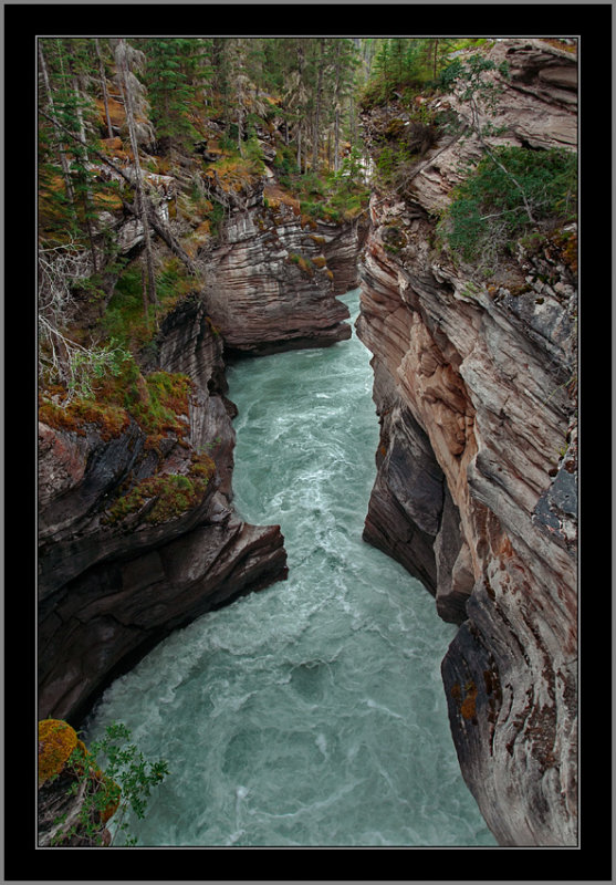 Area of Athabaska Falls