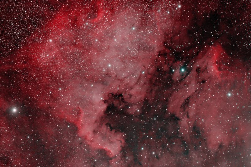 North America Nebula ( NGC7000) + Pelican Nebula (  IC5070/IC5067) in Cygnus