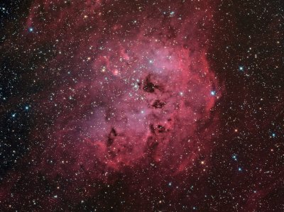 IC410/NGC1893 in Auriga