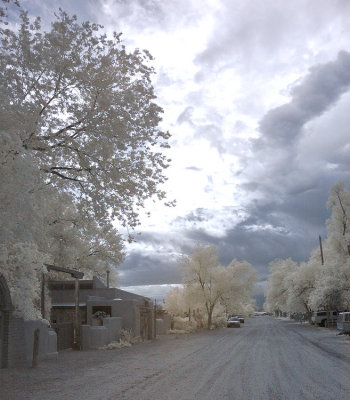 DSC_9464_1w.jpg