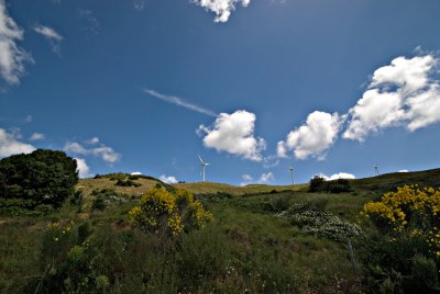 3492w.jpg