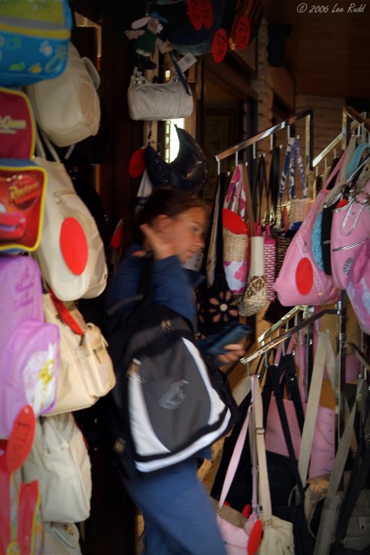 Bag Lady
