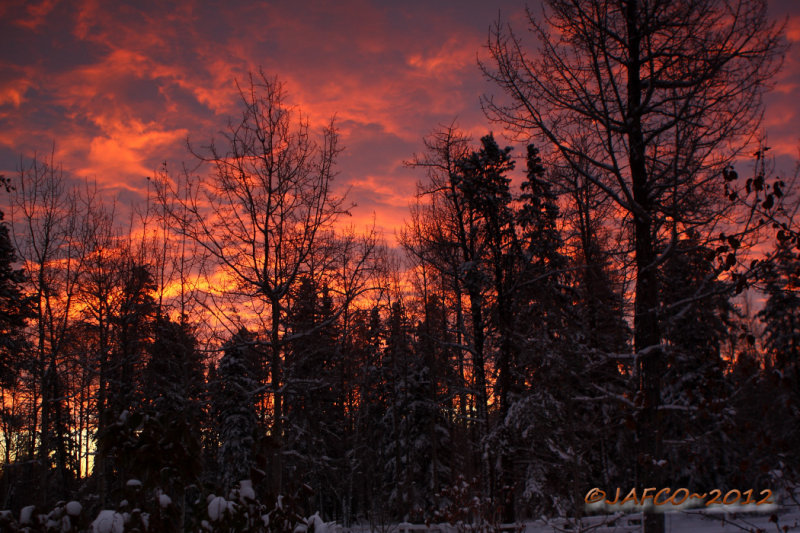 Nov 11 sunrise