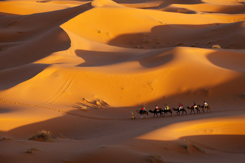 Dunes and Camel Caravan