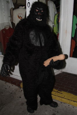 IMG_3674_1.jpg