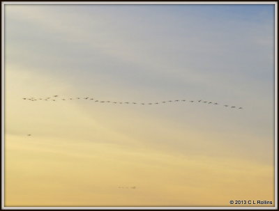IMG_0056 2013 February