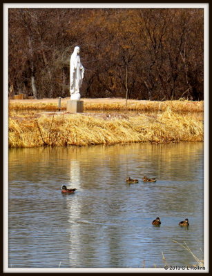 IMG_0513 2013 Feb
