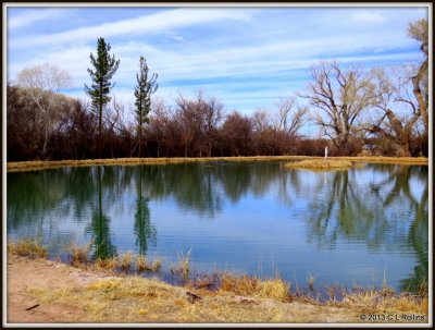 IMG_0570 Nature Trail Pond