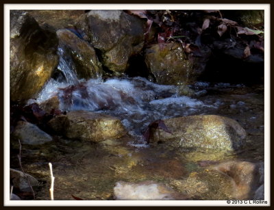 IMG_1394 Ramsey Creek