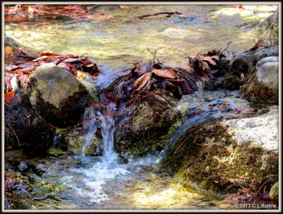 IMG_1443 Ramsey Creek