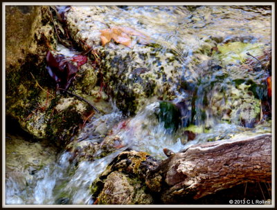 IMG_1444 Ramsey Creek