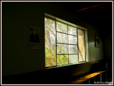 IMG_2175 Wednesday: Windows