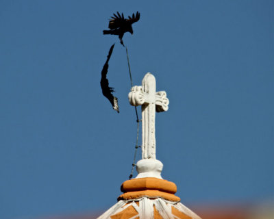 Bizarre Turkey Vulture gymnastics on top of Cathedral