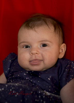 Stella 3