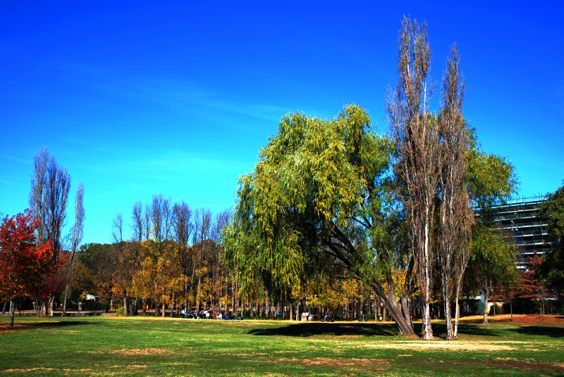 Canberra 6