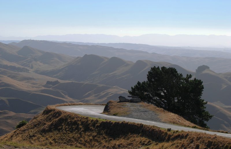 Disappearing Road, Te Mata Peak