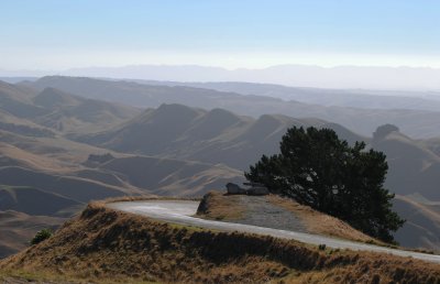 Disappearing Road, Te Mata Peak