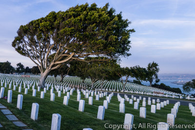 Point Loma Veterans