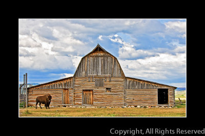 Home on the Range