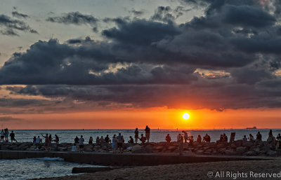 Sunset Paparazzi
