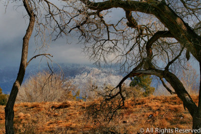Sandias From the Bosque