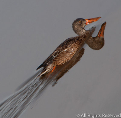 Take Off