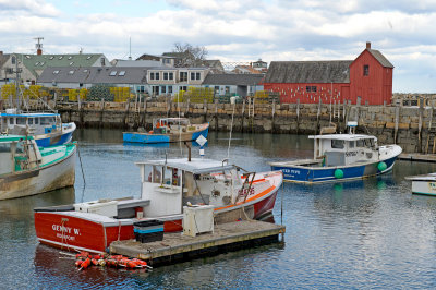 g2/16/1073416/3/148437843.QyFsNiu9.jpg