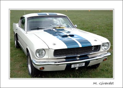 g2/16/252616/3/65457528.X7y5BlKG.jpg
