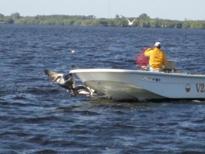 Fisherman pulling up crab traps