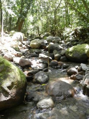 Creek  at St. Kitts