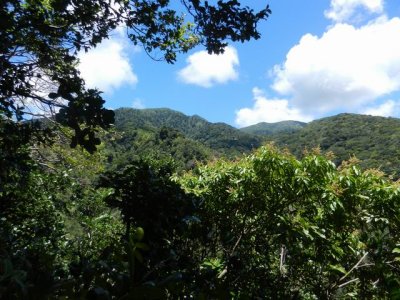 Top of the trail at St. Kitts