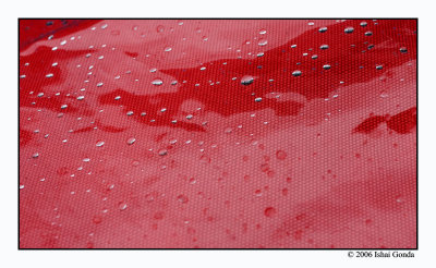 red wet drops(abstract)