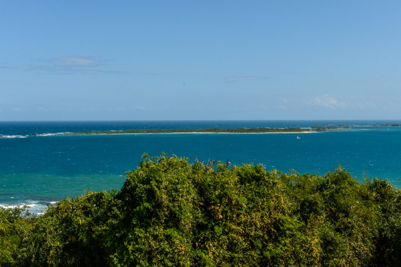 DSC_1545.jpg