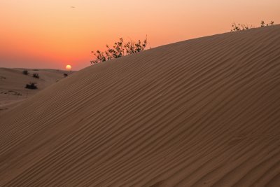 Red sky in the desert