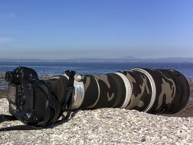 2/27/2013  My camera and lens on the shell mound