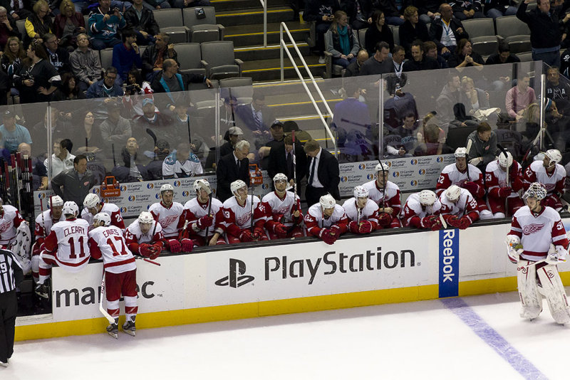 Red Wings bench before the shootout BH2D4146.jpg