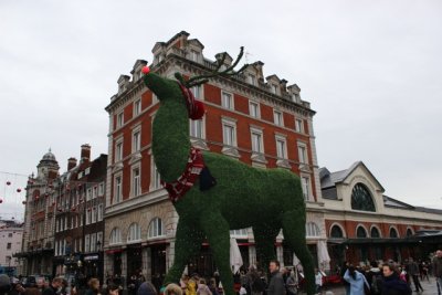 IMG_0049.jpg