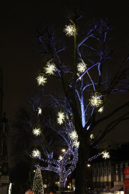 IMG_0147.jpg